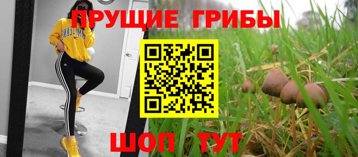 Галлюциногенные грибы Cubensis  Вход с VPN  Кольчугино 